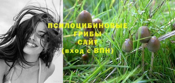 PSILOCYBIN Бугульма