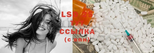 PSILOCYBIN Бугульма
