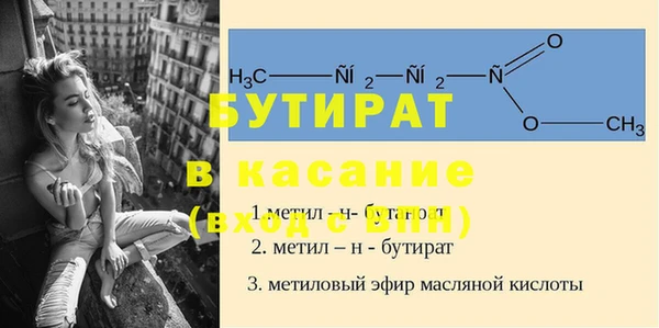 крисы Бородино