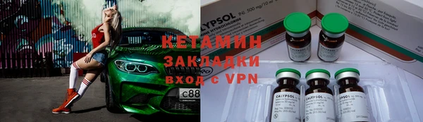 крисы Бородино