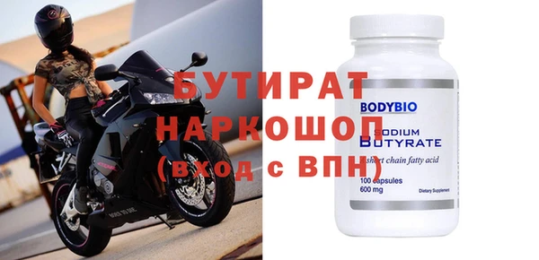 крисы Бородино