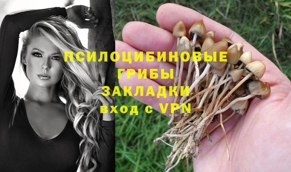 крисы Бородино