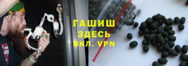 крисы Бородино
