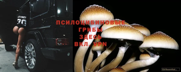 PSILOCYBIN Бугульма