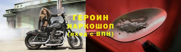 крисы Бородино