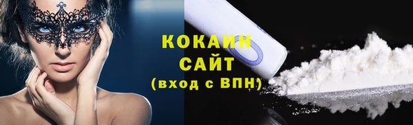 крисы Бородино