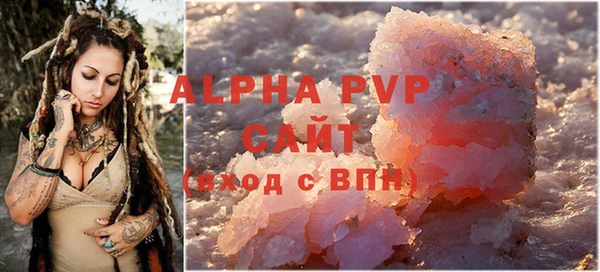 крисы Бородино