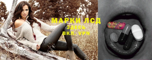 крисы Бородино