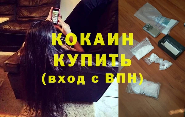 крисы Бородино