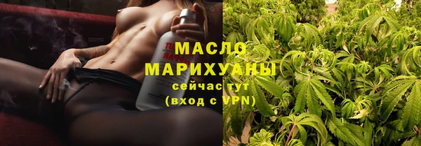 крисы Бородино