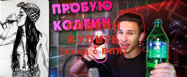 крисы Бородино