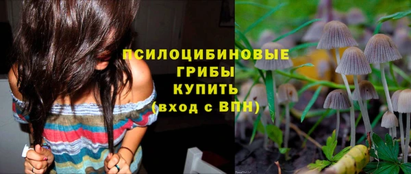 PSILOCYBIN Бугульма