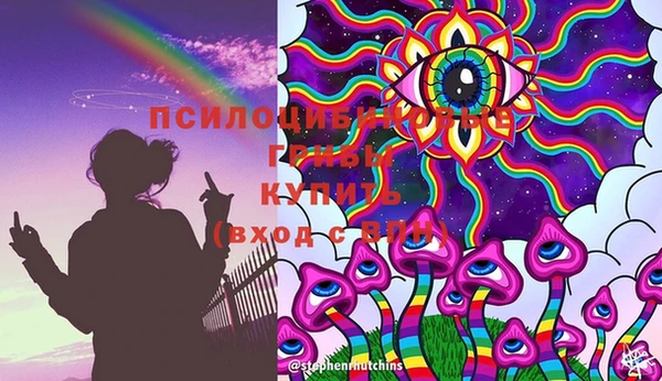 крисы Бородино