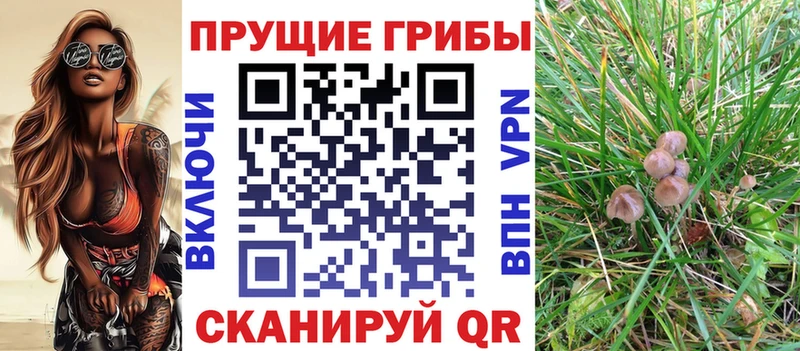 Купить где  Медвежьегорск  Псилоцибиновые грибы Magic Shrooms 